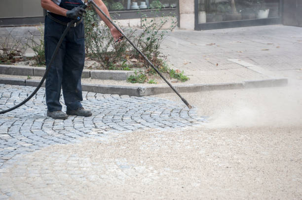 Animal Enclosure Cleaning in Peach Springs, AZ