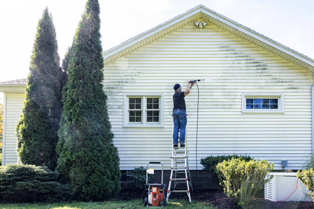Professional  Pressure Washing Services in Peach Springs, AZ